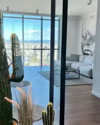 Vollga Vollga - photos of for Apartment