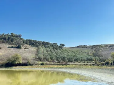 Foto e Tokë në shitje Rromanat, Durrës