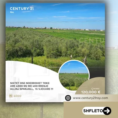 Fotografie land na prodej Kavaje, Durrës