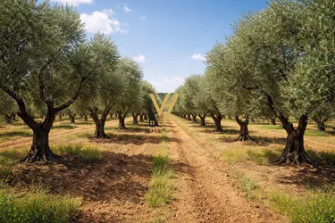 Fotografie land na prodej Kryengritja e Fierit, Fier