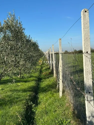 Fotografie land na prodej Xhafzotaj, Durrës