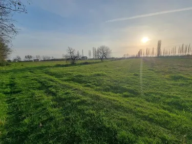 Foto e Tokë në shitje Ishull-lezhë, Ishull-vain, Ishull  Lezhë, Lezhë