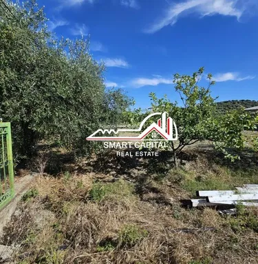 Фото land на продажу Vlorë, Vlore, Panaja