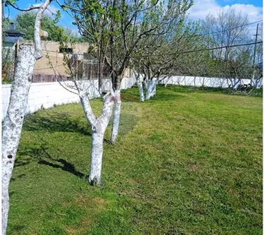 Photo of land for sale Gomsiqe e Re, Velipojë, Shkodër