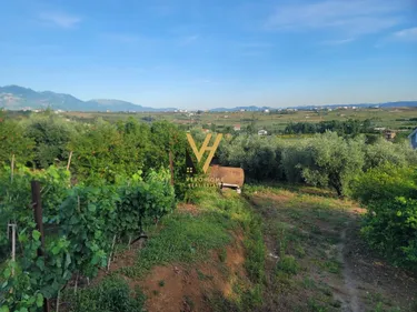 Foto von land zur miete Tapizë, Tapize, Kamëz, Tiranë