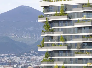 Foto e Zyrë me qera Vertical Forest, Tiranë