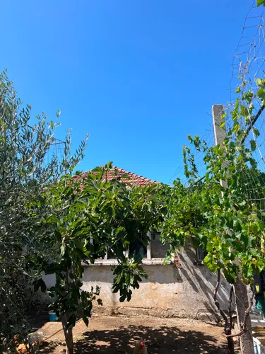 Foto von house zum verkauf Shkozet, Durrës