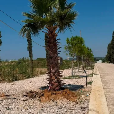 Фото house на продажу Rruga Gjiri i Lalzit, Durrës