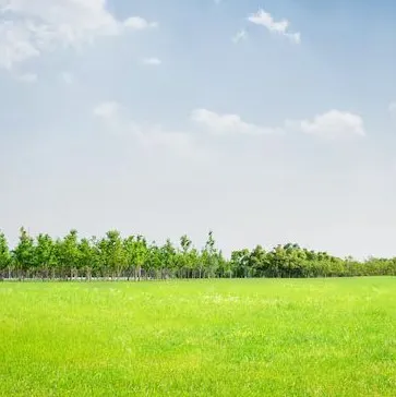 Photo of land for sale Rinas, Tiranë