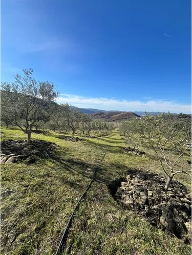 Foto av land till salu Picallë, Tiranë