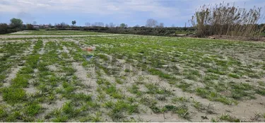 Zdjęcie land na sprzedaż Novoselë, Vlorë