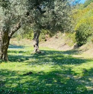 Zdjęcie land na sprzedaż Lukove, Sarandë