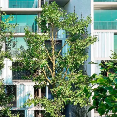 Фото Квартира на продажу Teg, Tiranë