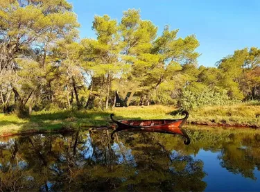 Foto e Tokë në shitje Divjake, Fier